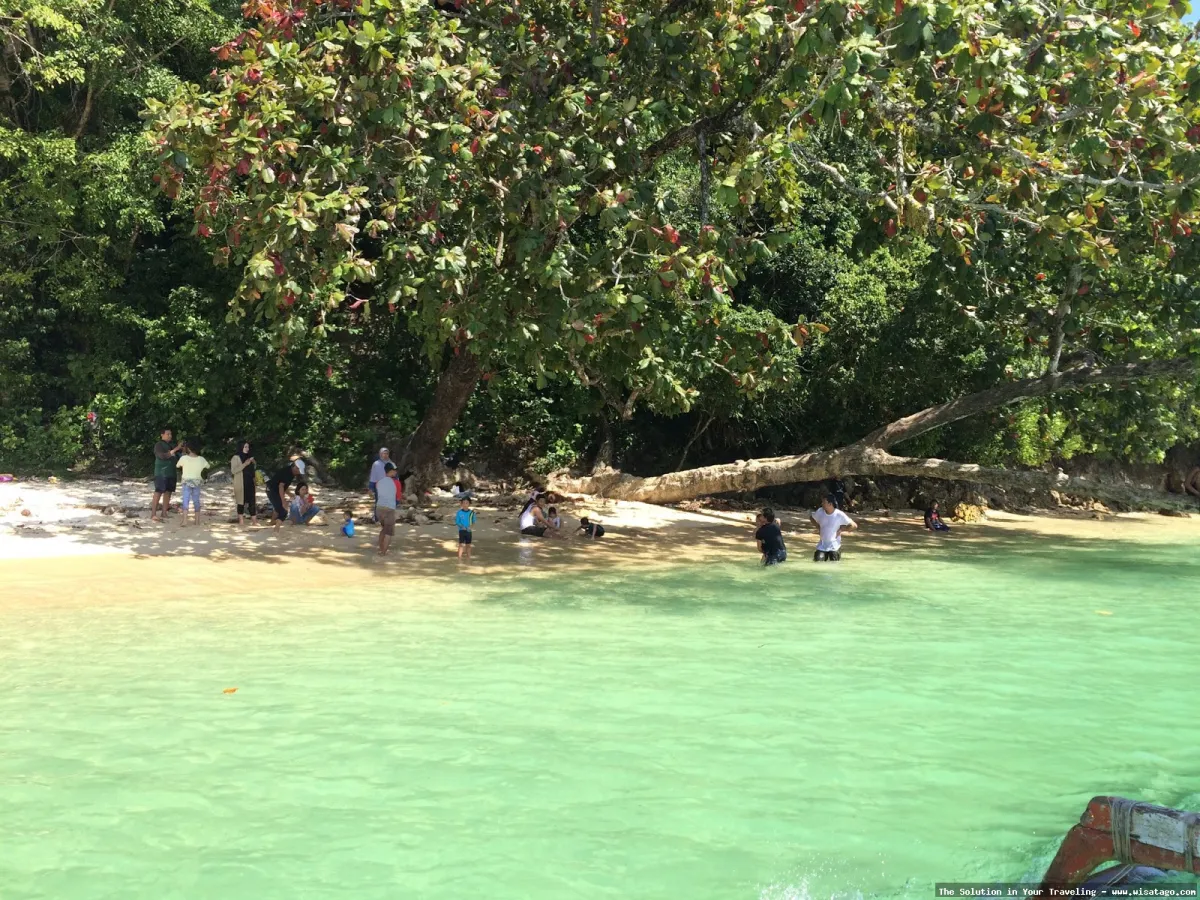 Pulau Sempu: keindahan alam tersembunyi