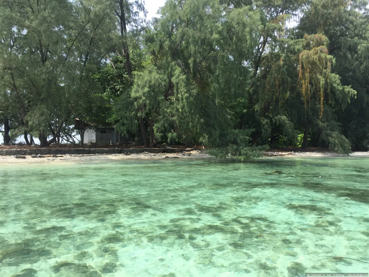 Pulau Semut, surga tersembunyi Indonesia