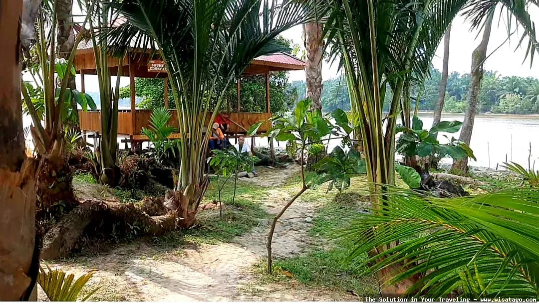 Pulau Semut, keindahan tersembunyi Indonesia
