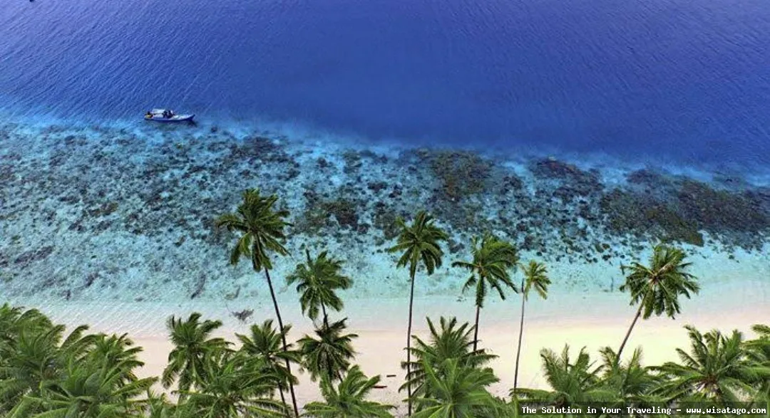 Pulau Setai: Tips, Harga Tiket, Kuliner, Lokasi, Fasilitas dan Spot Pulau Setai: Tips, Harga Tiket, Kuliner, Lokasi, Fasilitas dan Spot