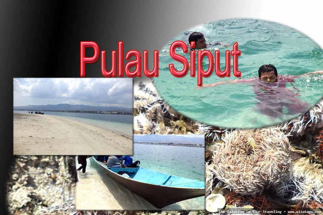 Pulau Siput, surga bahari tersembunyi