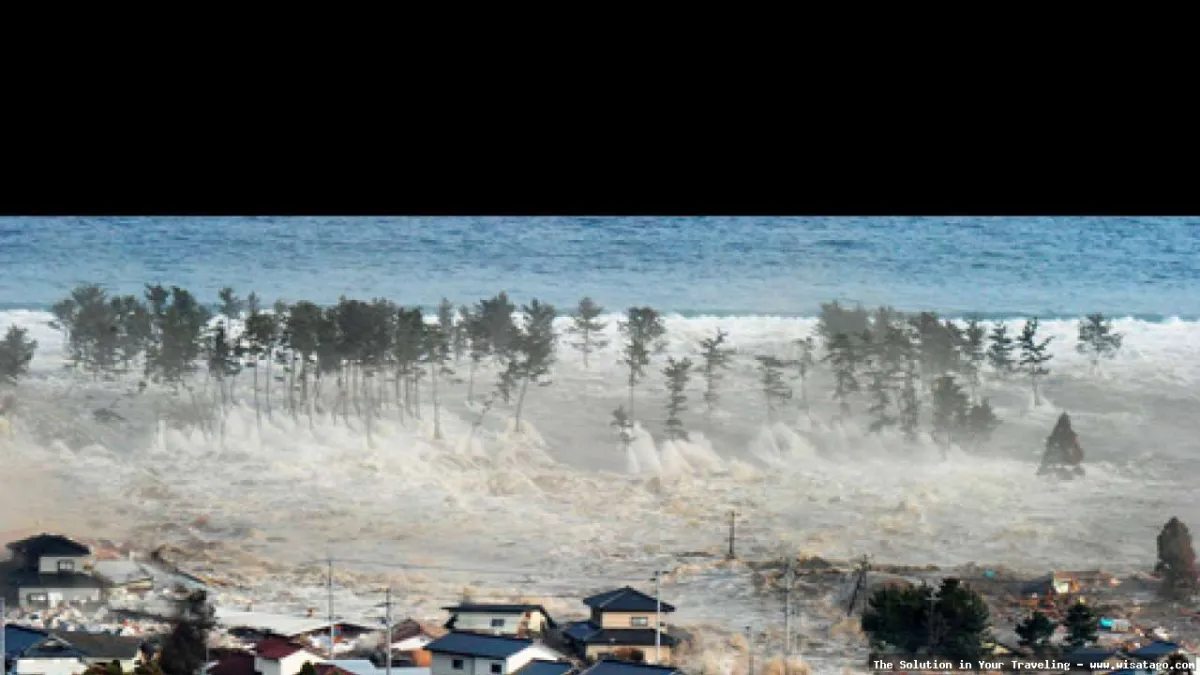 Pulau Tsunami, dampak gelombang dahsyat