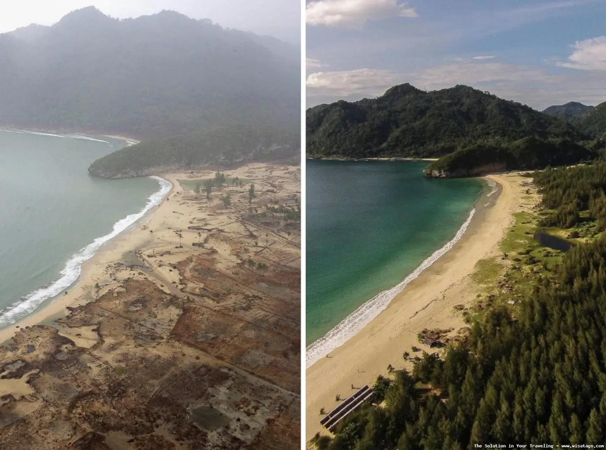 Pulau Tsunami, dampak kerusakan parah