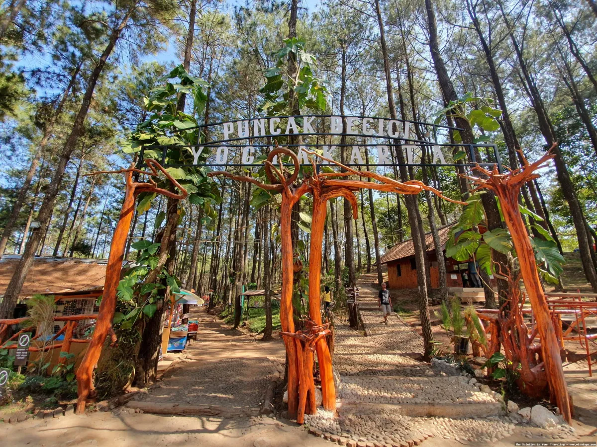 Puncak Becici: pemandangan hutan pinus