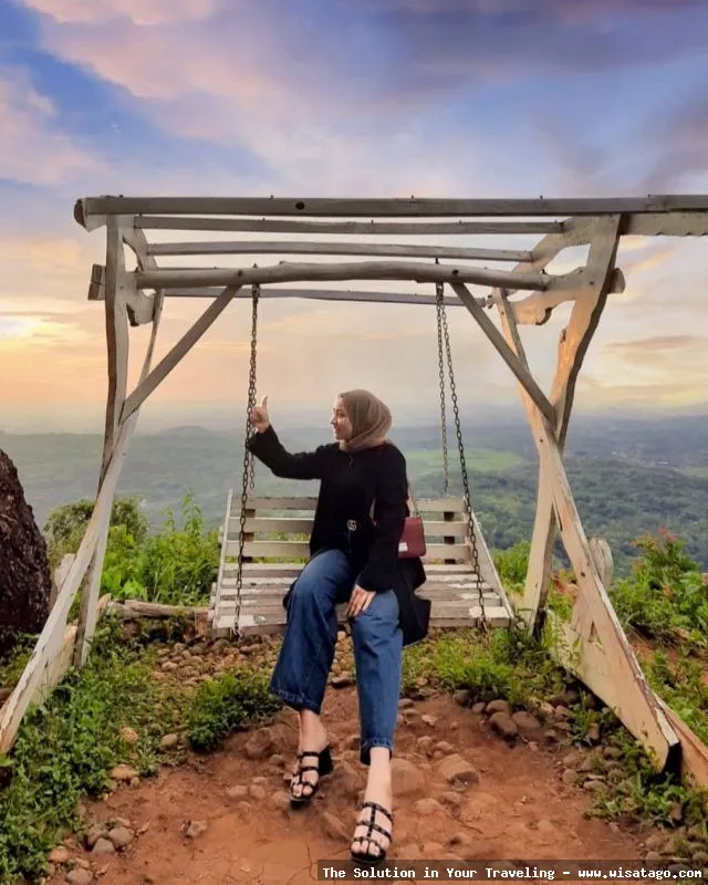 Puncak Becici, pemandangan hutan pinus