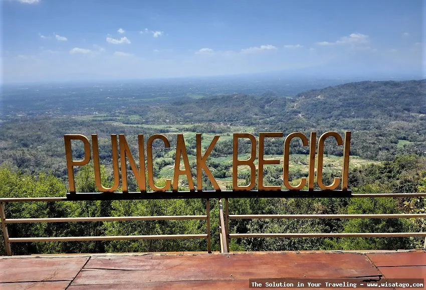 Puncak Becici: pemandangan hutan pinus