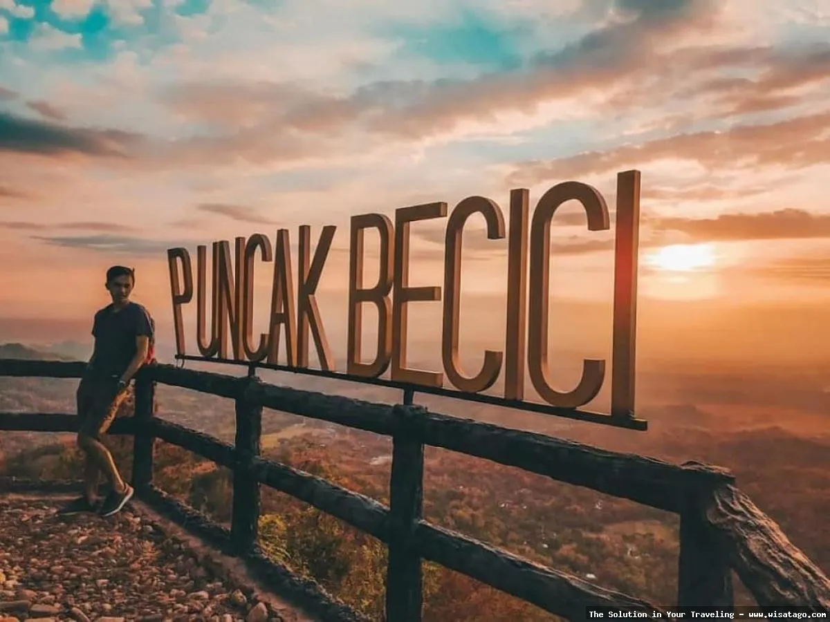 Puncak Becici: pemandangan hutan pinus