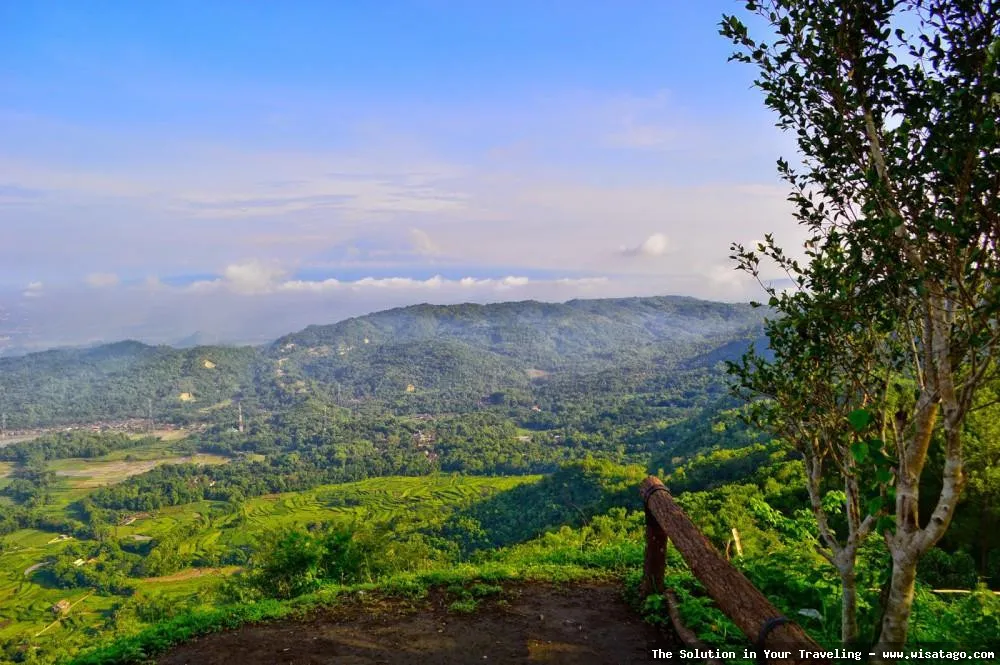 Puncak Becici: pemandangan hutan pinus