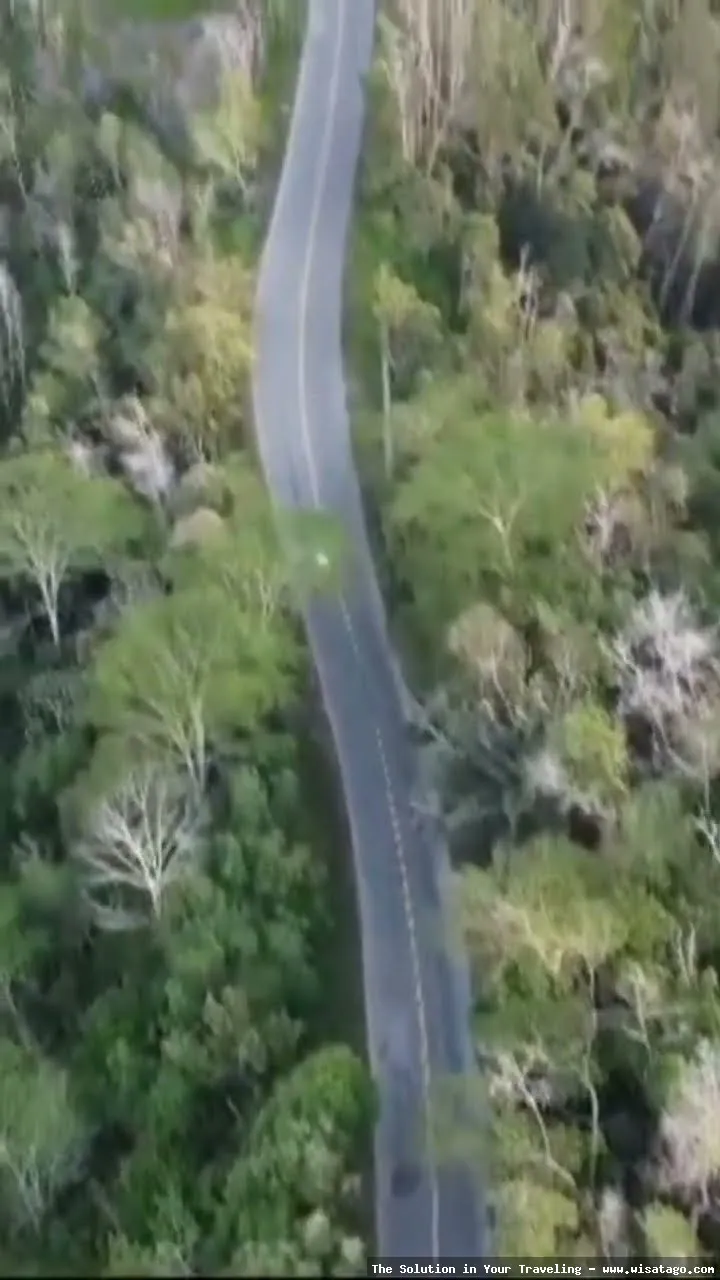 Puncak Bukit Suharto dengan pemandangan indah