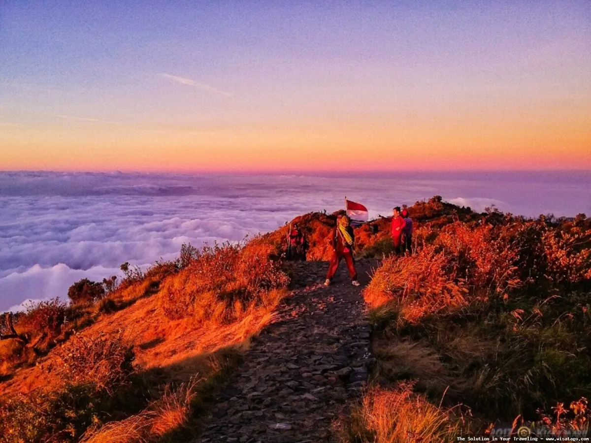 Puncak Lawu: pemandangan dari ketinggian