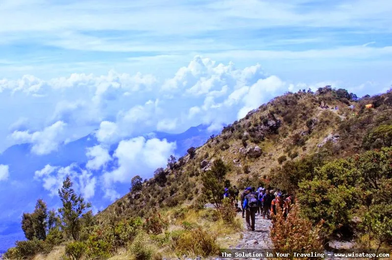 Puncak Lawu: pemandangan dari ketinggian