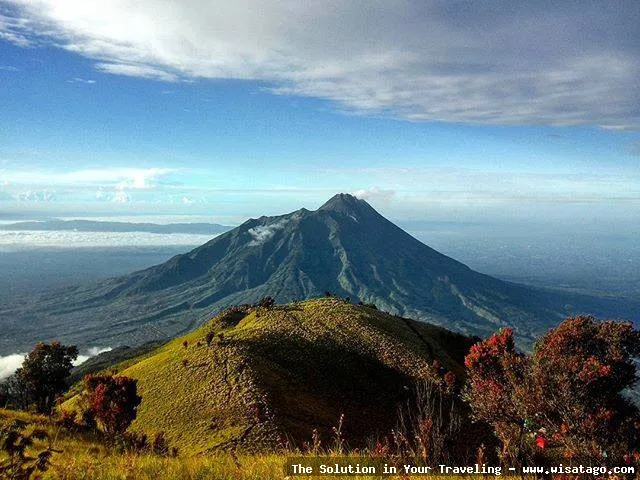 Puncak Lawu: keindahan alam memukau