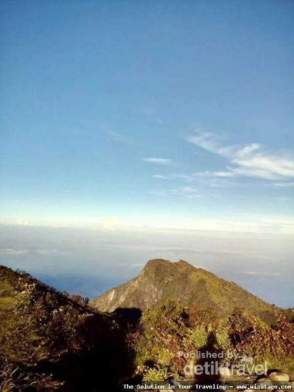 Puncak Lawu: pemandangan dari ketinggian