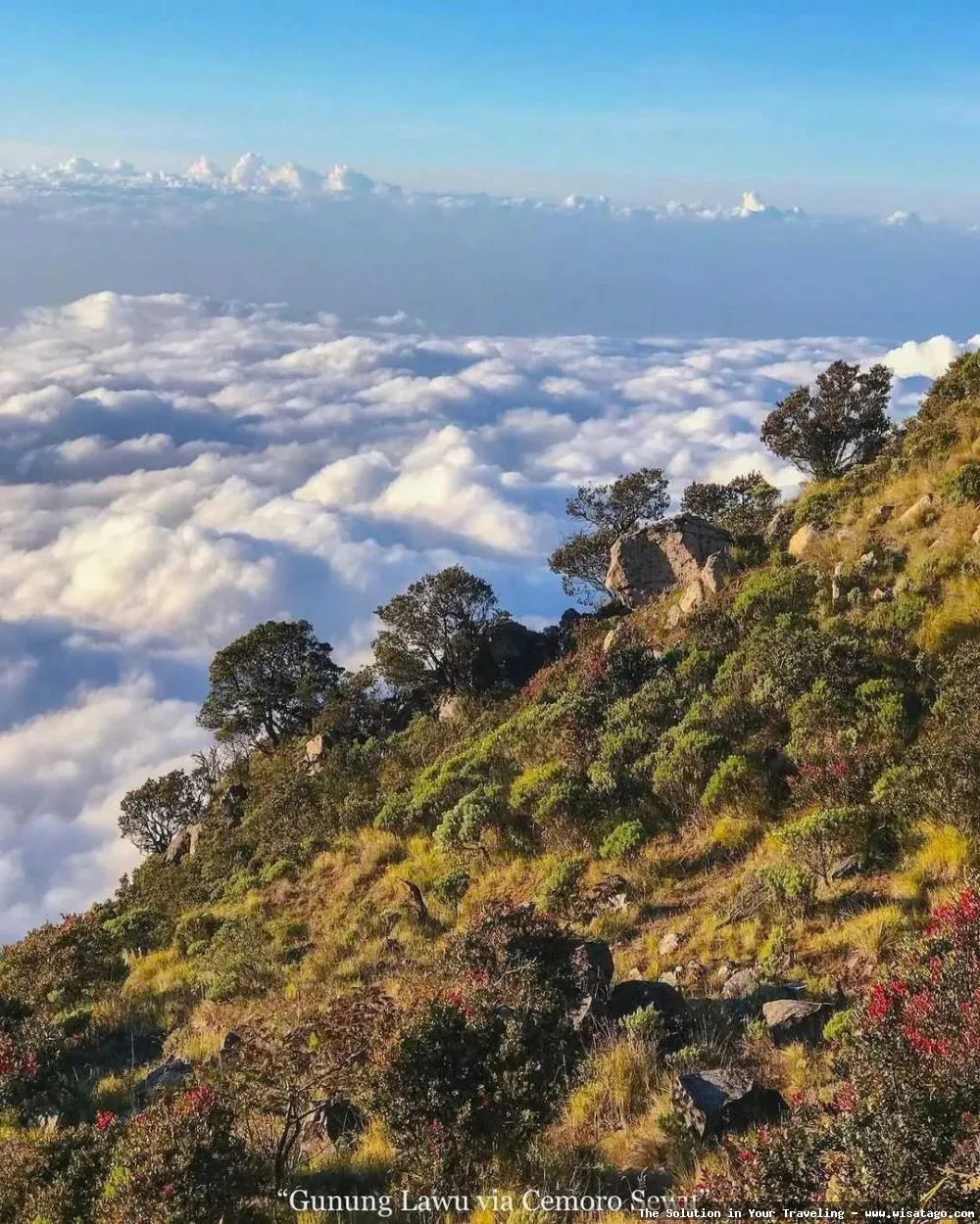 Puncak Lawu: keindahan alam memukau