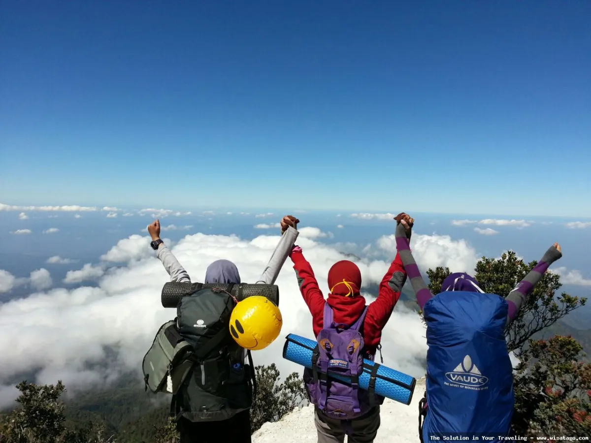 Puncak Lawu: keindahan alam memukau