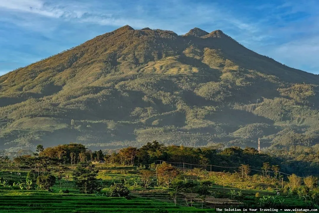 Puncak Lawu: pemandangan menakjubkan dari ketinggian