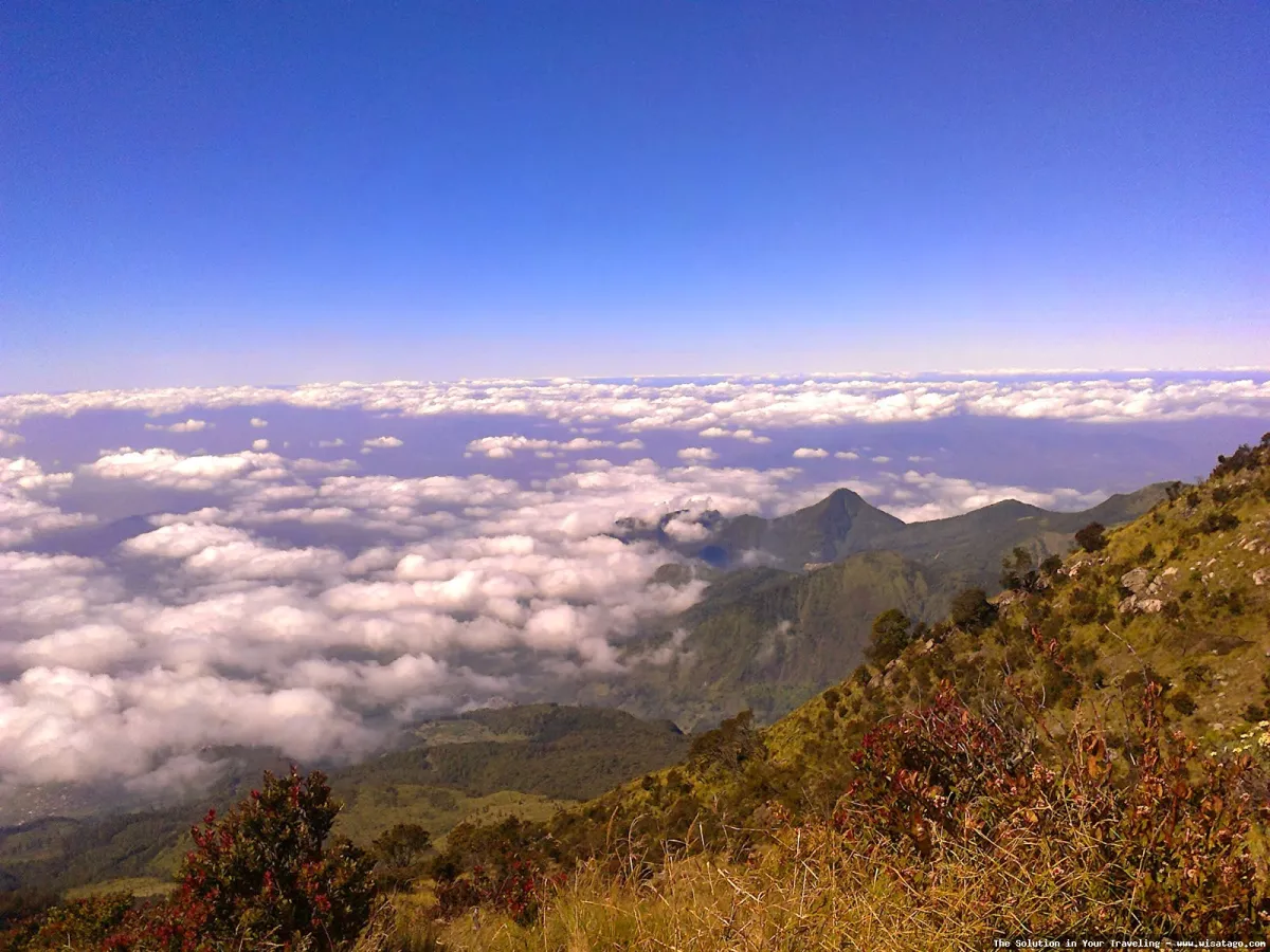 Puncak Lawu: pemandangan indah dari ketinggian