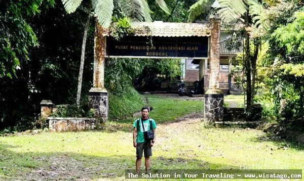 Pusat Pendidikan Konservasi Alam Bodogol lestari