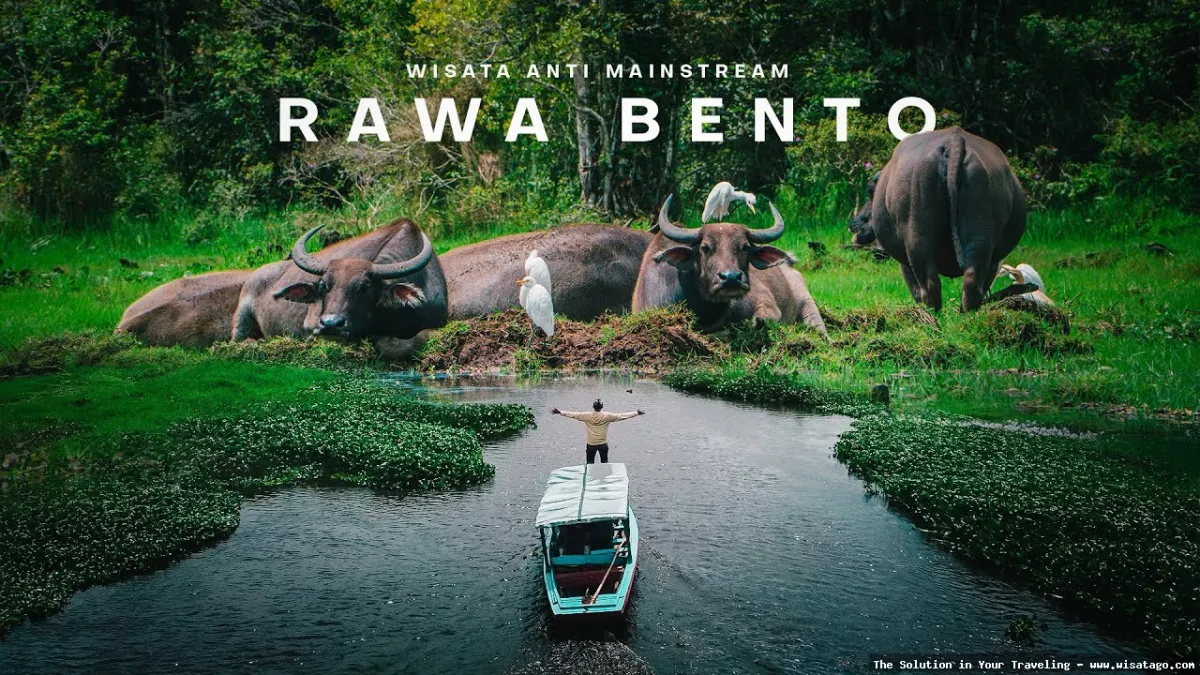 Rawa Bento, keindahan alam tersembunyi