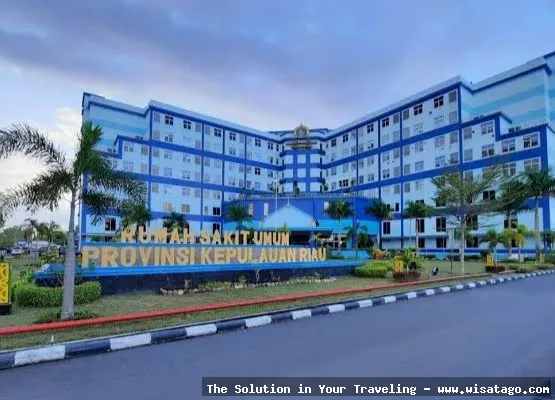 Rumah Tabib Kerajaan Kepulauan Riau, bersejarah.