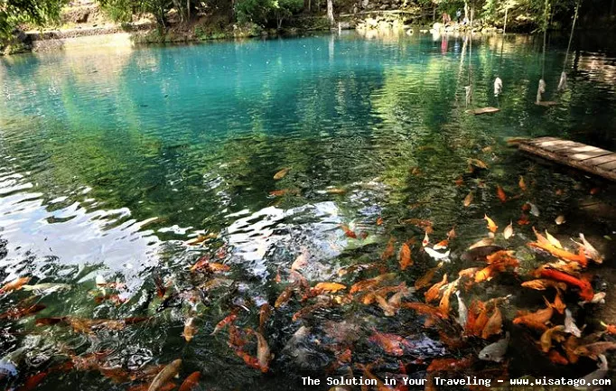 Situ Cicerem, danau yang sangat jernih