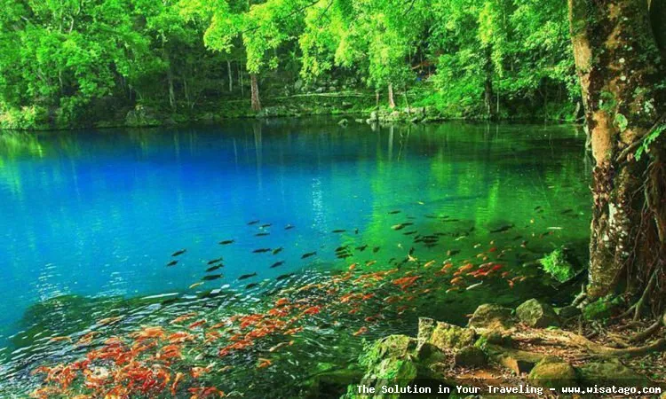 Situ Cicerem, danau yang sangat jernih