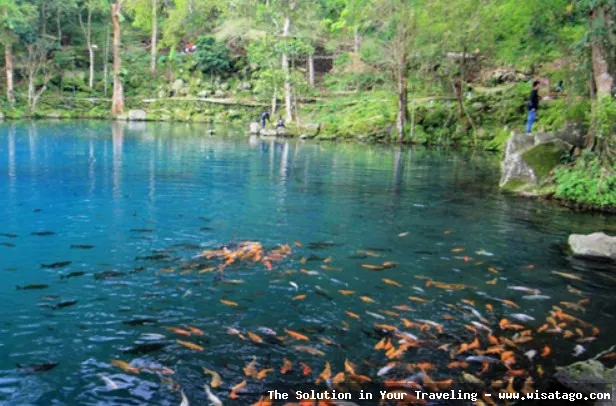 Situ Cicerem, danau yang sangat indah