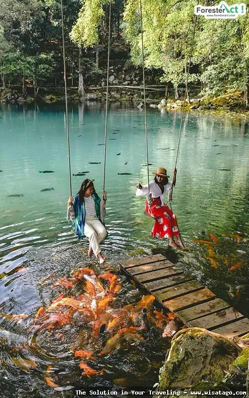 Situ Cicerem, danau yang sangat jernih