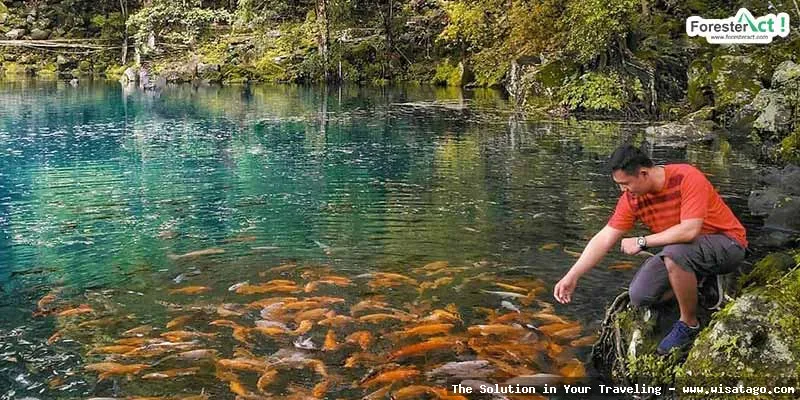 Situ Cicerem, danau yang sangat jernih