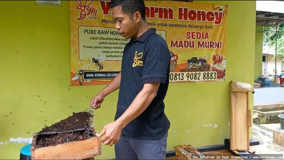 Situs Klanceng: artefak sejarah purbakala