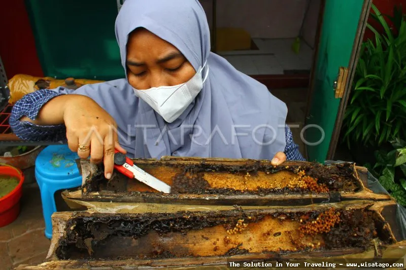 Situs Klanceng, warisan budaya purbakala