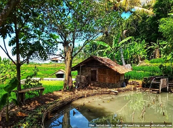 Sudayan Balong: Tips, Harga Tiket, Kuliner, Lokasi, Fasilitas dan Spot