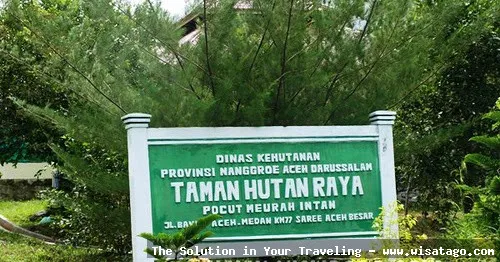 Tahura Pocut Meurah Intan: Tips, Harga Tiket, Kuliner, Lokasi, Fasilitas dan Spot Tahura Pocut Meurah Intan: Tips, Harga Tiket, Kuliner, Lokasi, Fasilitas dan Spot