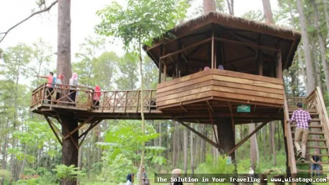 Tahura Pocut Meurah Intan nan asri