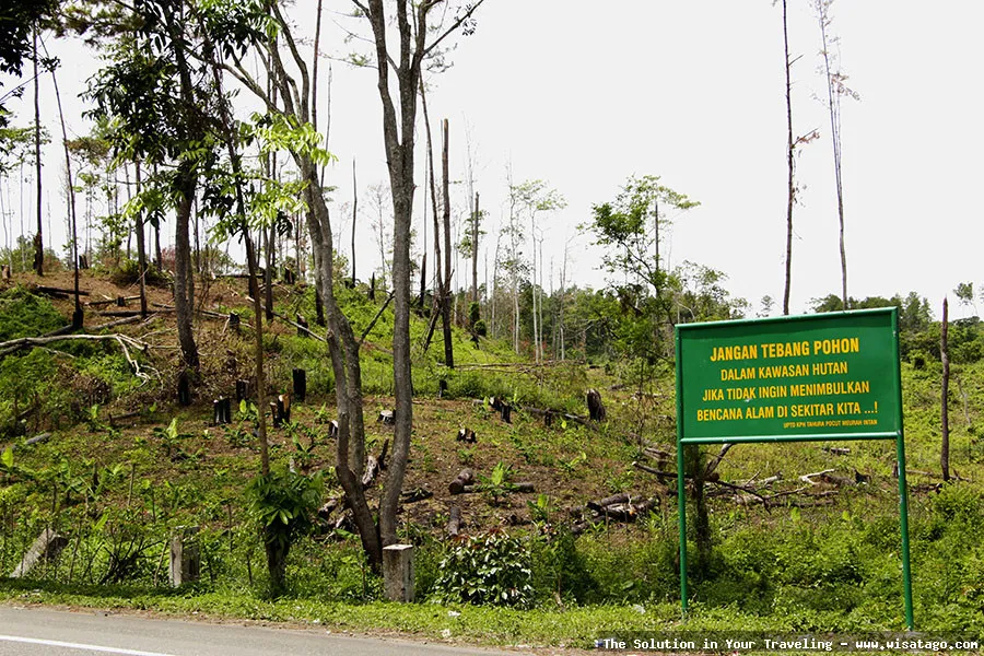 Tahura Pocut Meurah Intan nan asri