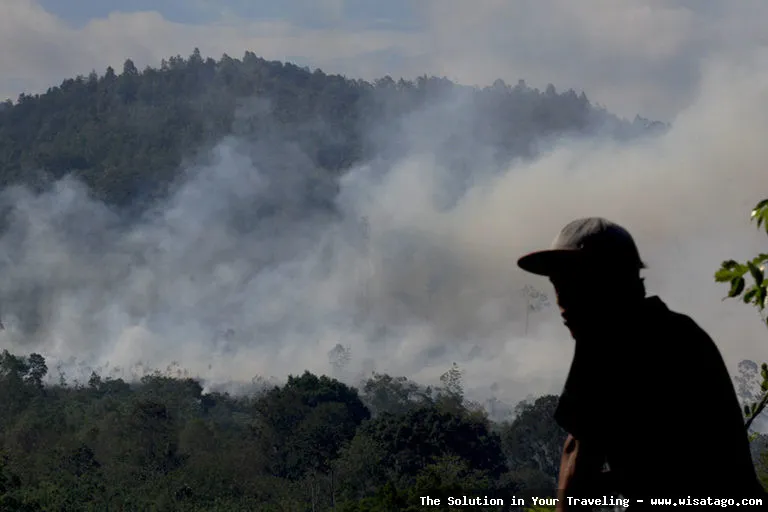 Tahura Pocut Meurah Intan nan asri