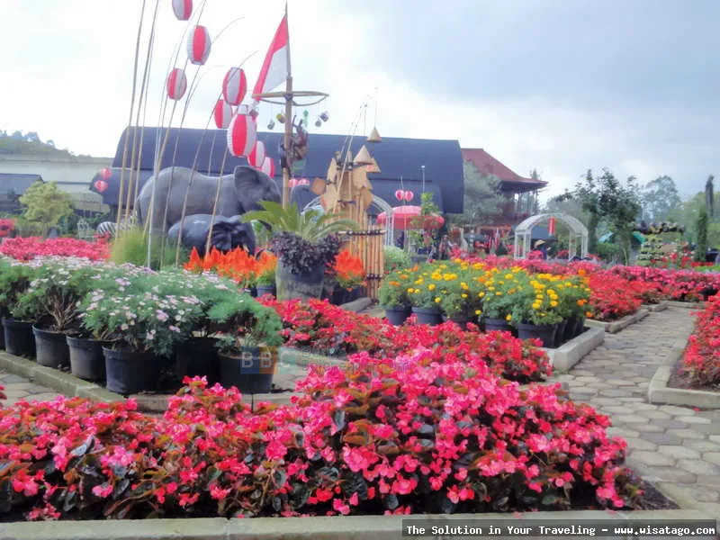 Taman Begonia, keindahan bunga memukau