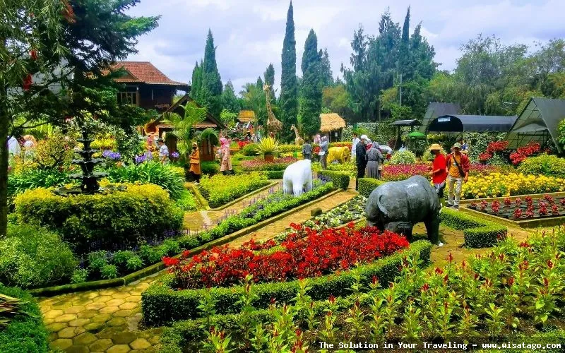 Taman Begonia, keindahan bunga berwarna-warni