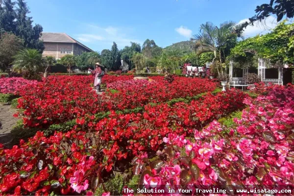 Taman Begonia, hamparan bunga berwarna-warni