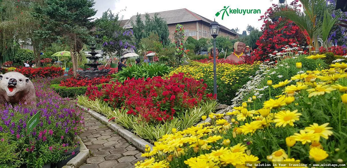 Taman Begonia, keindahan warna-warni memukau