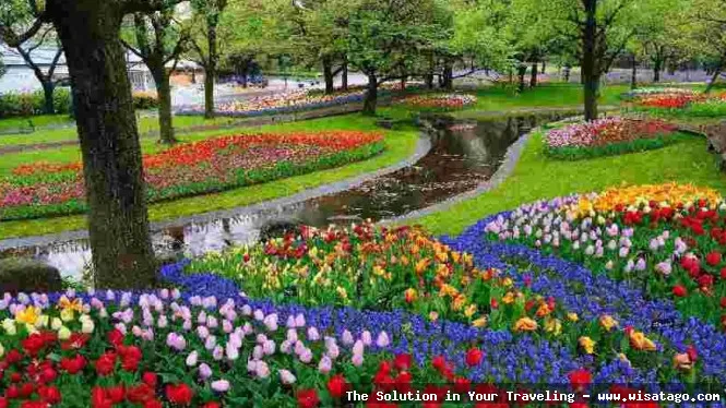 Taman Begonia, keindahan bunga berwarna-warni