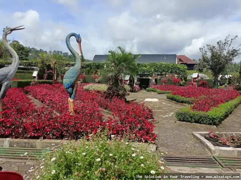 Taman Begonia, hamparan bunga berwarna-warni