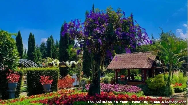 Taman Begonia, keindahan warna warni.