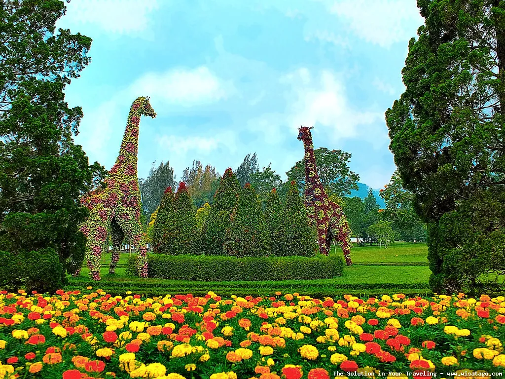Taman Bunga Nusantara: Tips, Harga Tiket, Kuliner, Lokasi, Fasilitas dan Spot Taman Bunga Nusantara: Tips, Harga Tiket, Kuliner, Lokasi, Fasilitas dan Spot