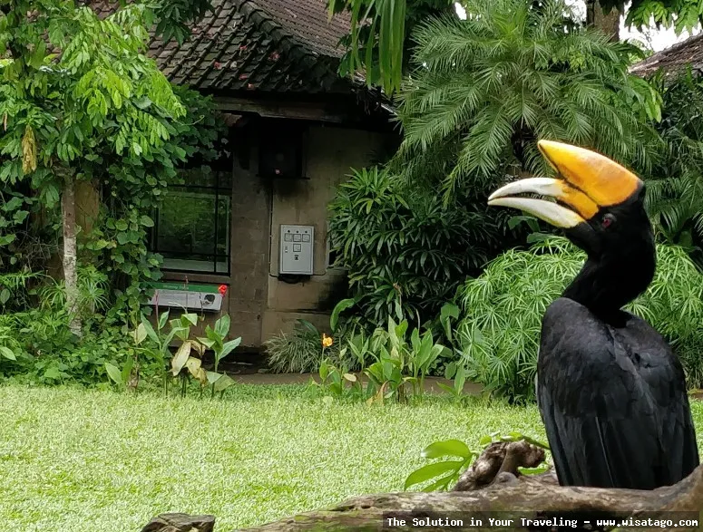 Taman Burung Sukamandi yang asri indah