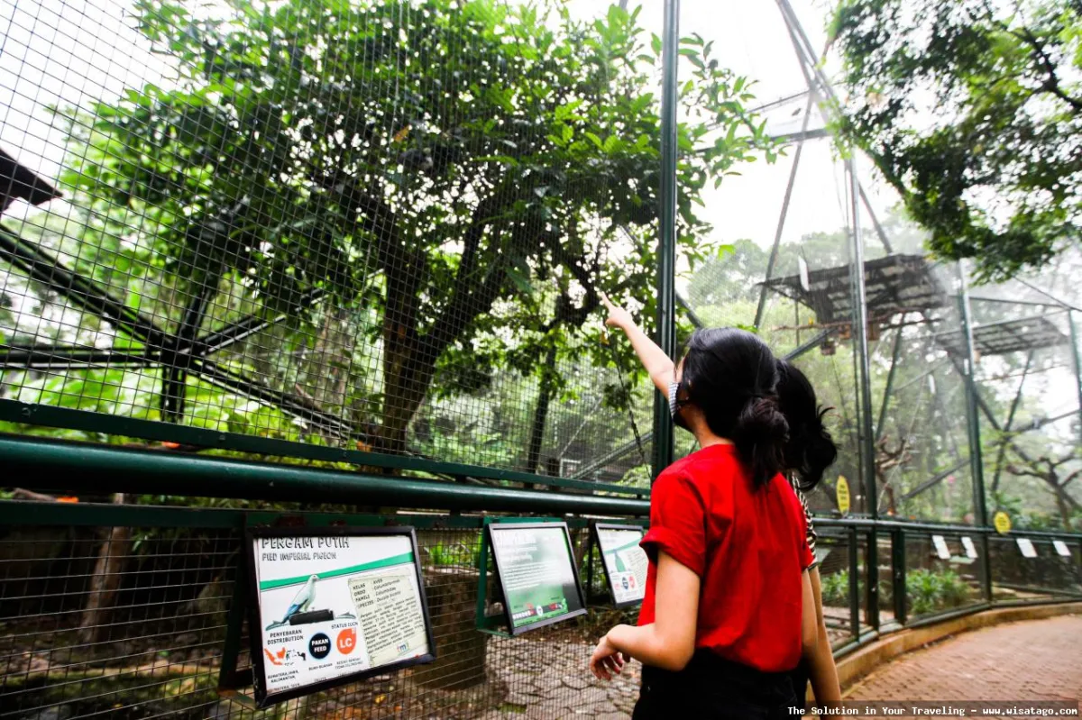 Taman Burung Sukamandi yang asri indah.