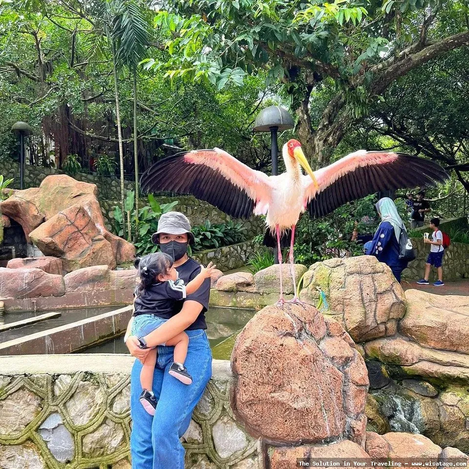 Taman Burung Sukamandi yang asri alami