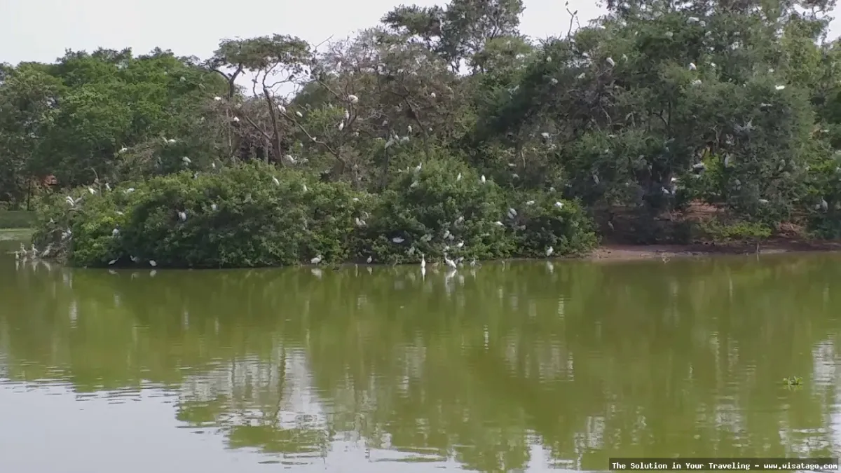 Taman Burung Sukamandi, koleksi burung beragam.