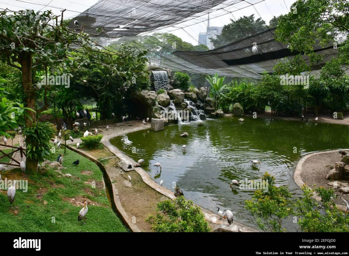 Taman Burung Sukamandi, koleksi burung eksotis