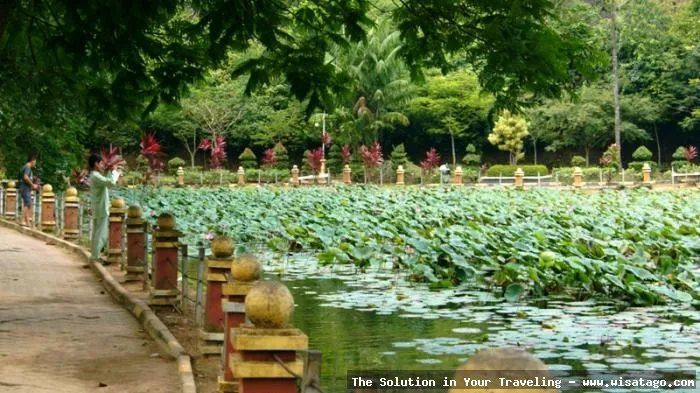 Taman Kolam Sekupang: Tips, Harga Tiket, Kuliner, Lokasi, Fasilitas dan Spot